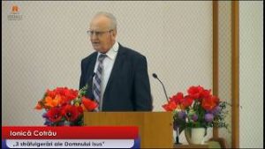 Luni dimineata | Ionica Cotrau